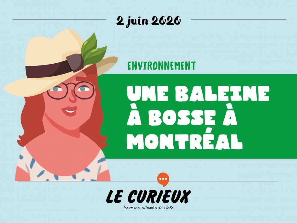 LeCurieux_Environnement2