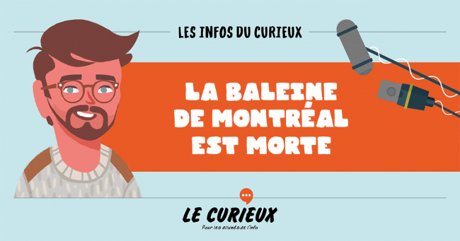 baleinemtlmorte-fb