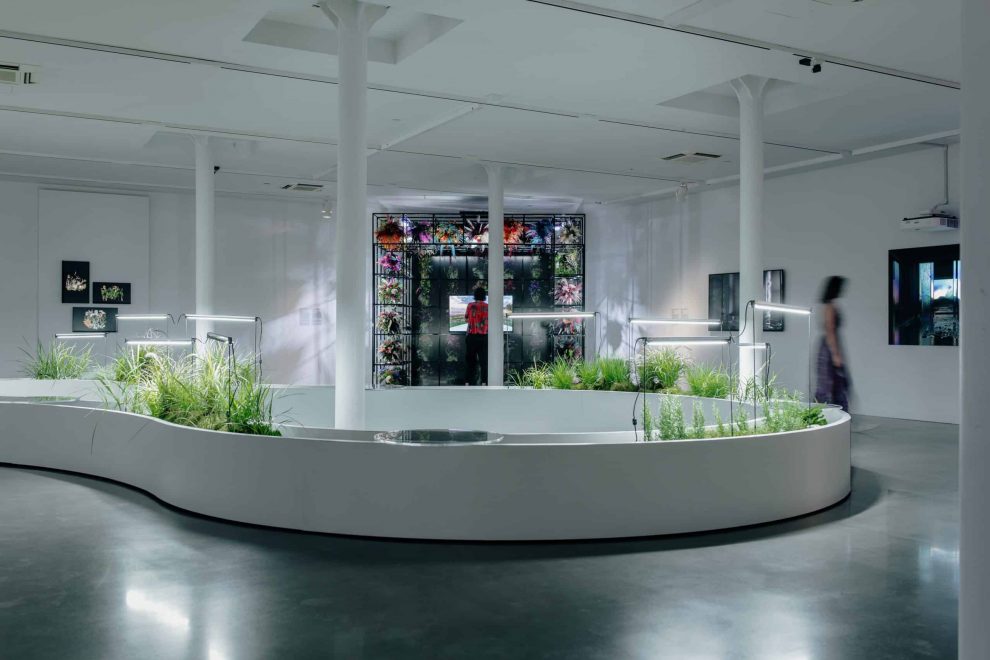 @Myriam Ménard vue d’ensemble 1er étage @Myriam Ménard vue d’ensemble 1er étage