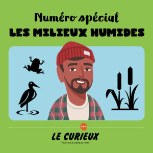 Les milieux humides – Février 2022- Dossier 43