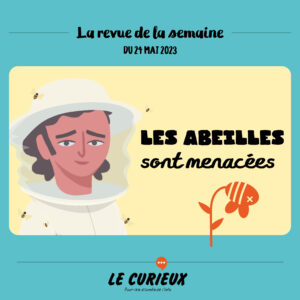 Revue de la semaine - Édition du 24 mai 2023