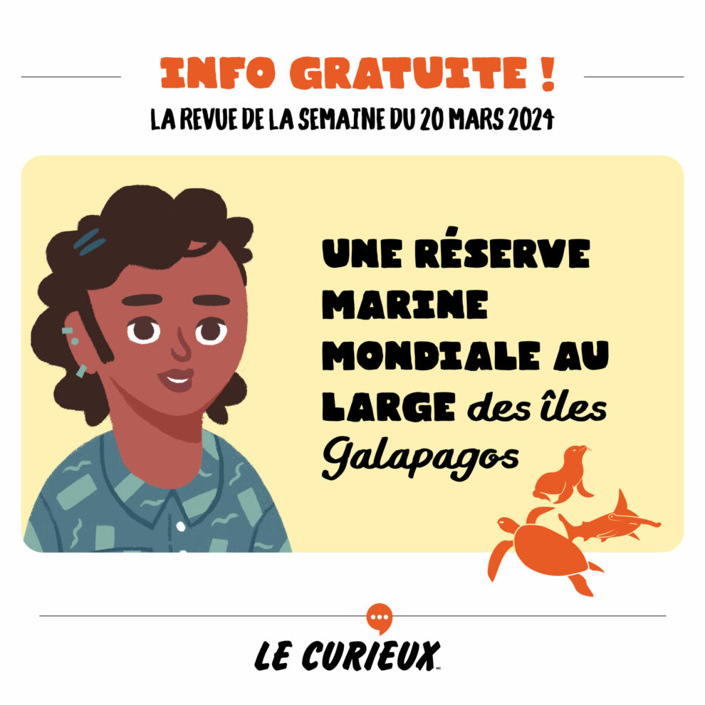 LC_Publications_RDS_2024