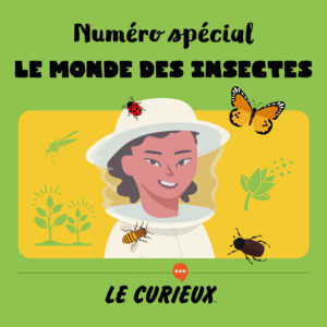 Le monde des insectes – Mai 2024 - Dossier 68