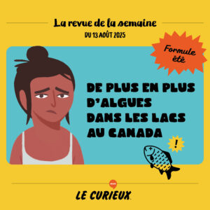 Revue de la semaine - Édition du 13 août 2025