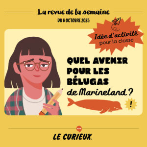 Activité pour la classe - Revue de la semaine du 8 octobre 2025