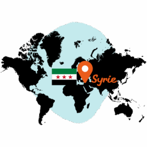 LC RDS ICONS 01OCT 25 300x300 - Un million de réfugiés syriens de retour chez eux