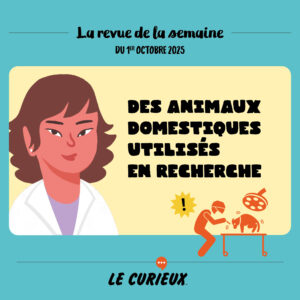 Revue de la semaine - Édition du 1er octobre 2025