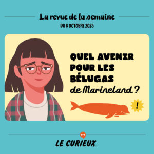 Revue de la semaine - Édition du 8 octobre 2025