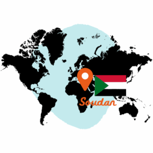 LC RDS ICONS 5NOV 253 300x300 - Guerre au Soudan : nouvelle flambée de violences