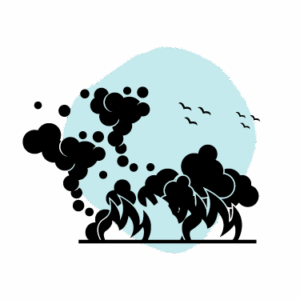 LC RDS ICONS 3DEC 252 300x300 - Manitoba : risque de « feux zombies »