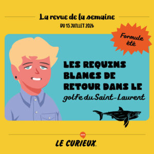 Revue de la semaine - &Eacute;dition du 15 juillet 2026
